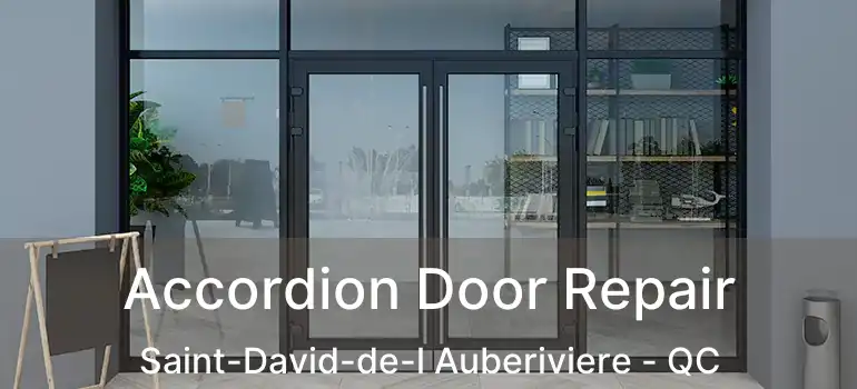  Accordion Door Repair Saint-David-de-l Auberiviere - QC