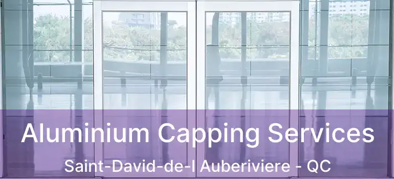  Aluminium Capping Services Saint-David-de-l Auberiviere - QC
