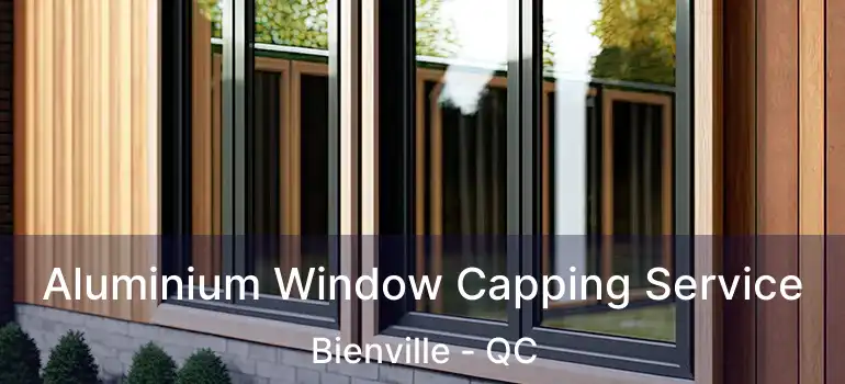  Aluminium Window Capping Service Bienville - QC