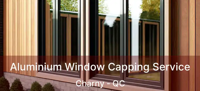 Aluminium Window Capping Service Charny - QC