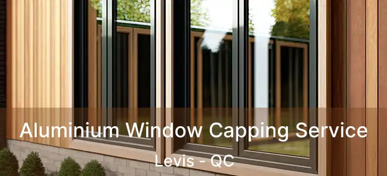  Aluminium Window Capping Service Levis - QC