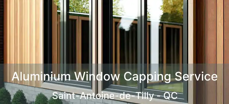  Aluminium Window Capping Service Saint-Antoine-de-Tilly - QC
