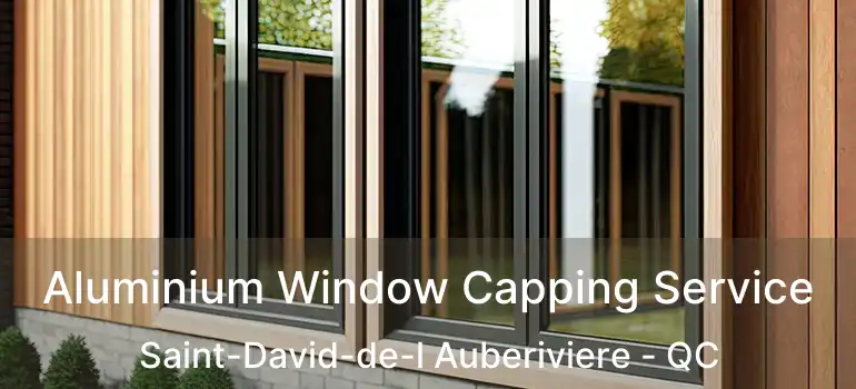 Aluminium Window Capping Service Saint-David-de-l Auberiviere - QC
