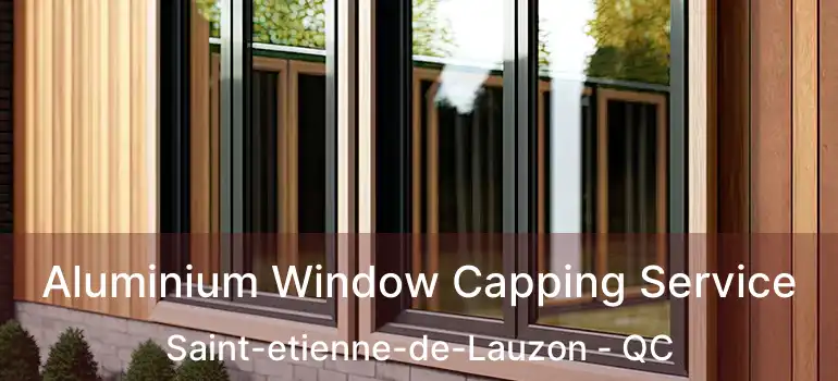  Aluminium Window Capping Service Saint-etienne-de-Lauzon - QC