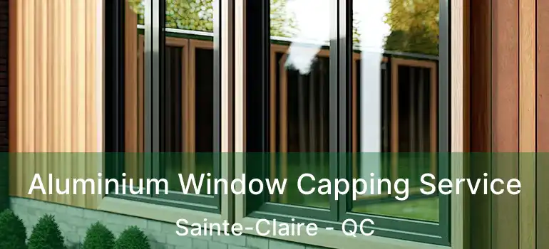  Aluminium Window Capping Service Sainte-Claire - QC