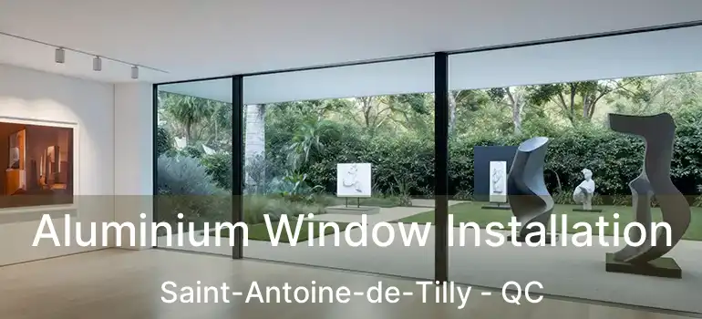  Aluminium Window Installation Saint-Antoine-de-Tilly - QC
