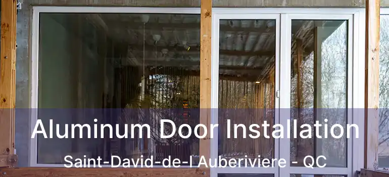  Aluminum Door Installation Saint-David-de-l Auberiviere - QC