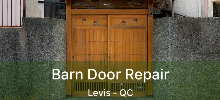  Barn Door Repair Levis - QC