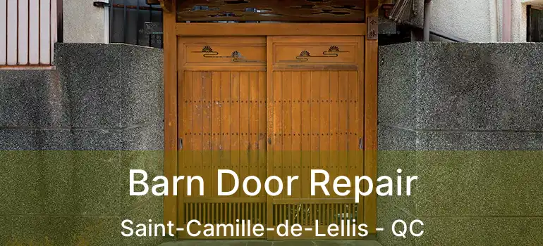  Barn Door Repair Saint-Camille-de-Lellis - QC