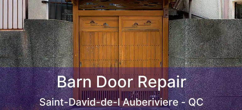  Barn Door Repair Saint-David-de-l Auberiviere - QC