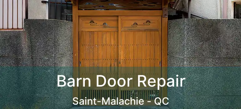  Barn Door Repair Saint-Malachie - QC