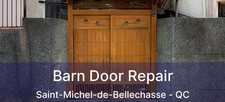  Barn Door Repair Saint-Michel-de-Bellechasse - QC
