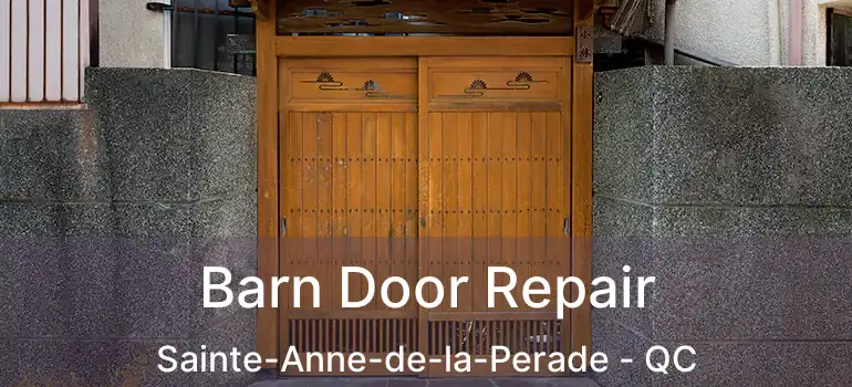  Barn Door Repair Sainte-Anne-de-la-Perade - QC