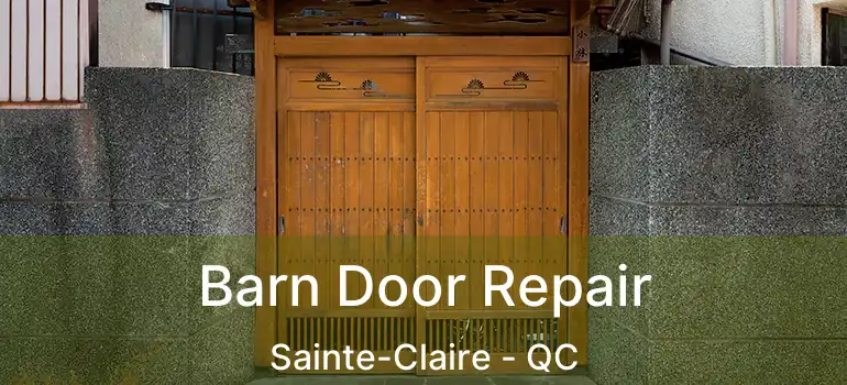  Barn Door Repair Sainte-Claire - QC