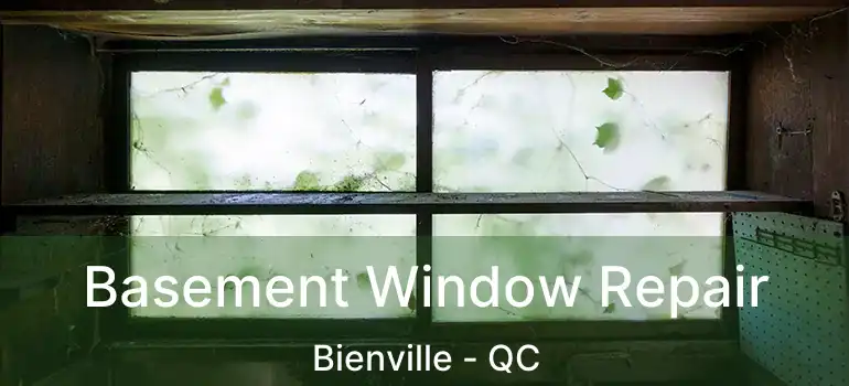  Basement Window Repair Bienville - QC