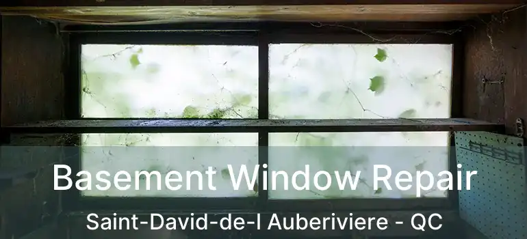 Basement Window Repair Saint-David-de-l Auberiviere - QC