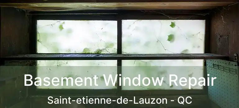  Basement Window Repair Saint-etienne-de-Lauzon - QC