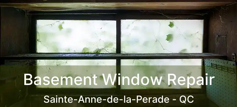  Basement Window Repair Sainte-Anne-de-la-Perade - QC