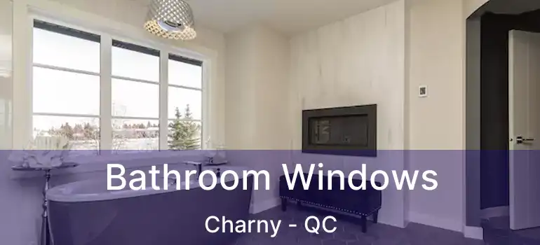  Bathroom Windows Charny - QC