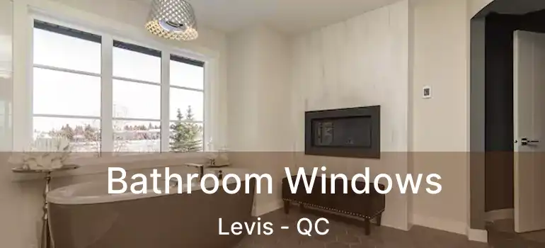  Bathroom Windows Levis - QC