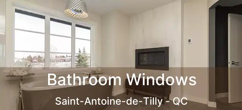  Bathroom Windows Saint-Antoine-de-Tilly - QC