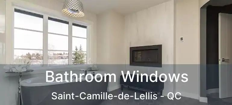  Bathroom Windows Saint-Camille-de-Lellis - QC