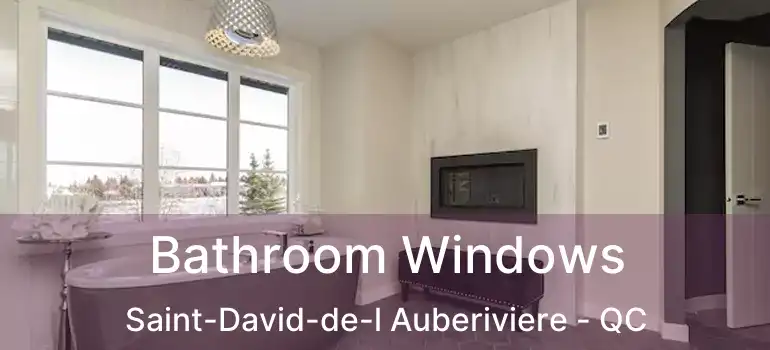  Bathroom Windows Saint-David-de-l Auberiviere - QC