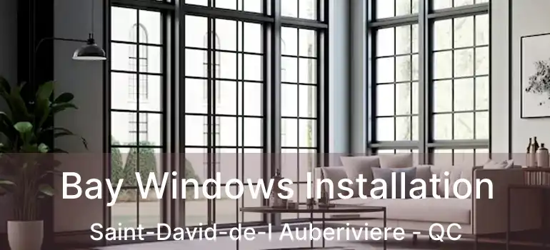  Bay Windows Installation Saint-David-de-l Auberiviere - QC