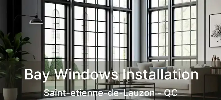  Bay Windows Installation Saint-etienne-de-Lauzon - QC