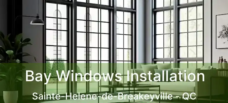 Bay Windows Installation Sainte-Helene-de-Breakeyville - QC