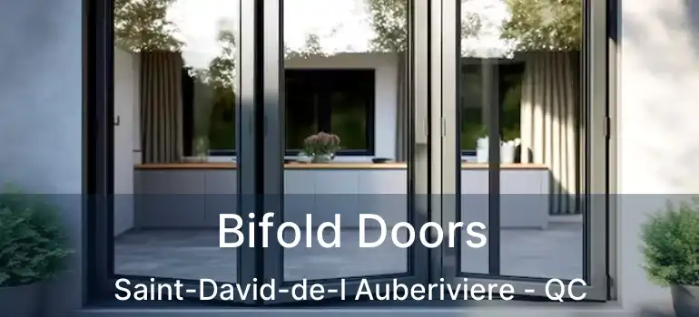  Bifold Doors Saint-David-de-l Auberiviere - QC