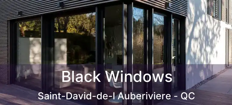  Black Windows Saint-David-de-l Auberiviere - QC
