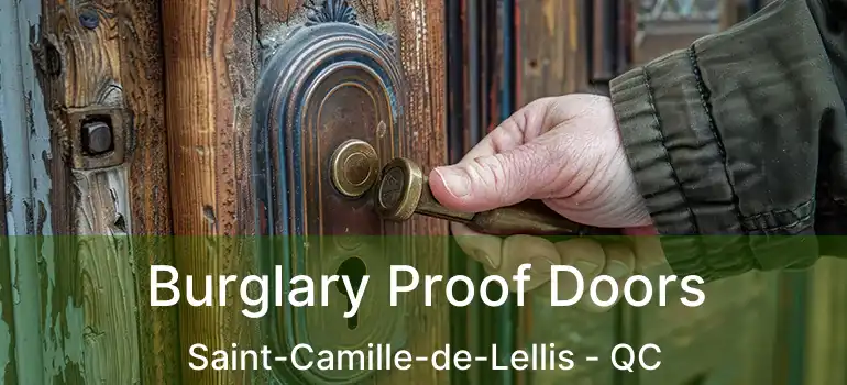 Burglary Proof Doors Saint-Camille-de-Lellis - QC