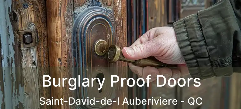  Burglary Proof Doors Saint-David-de-l Auberiviere - QC