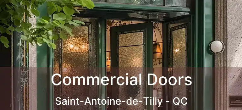  Commercial Doors Saint-Antoine-de-Tilly - QC