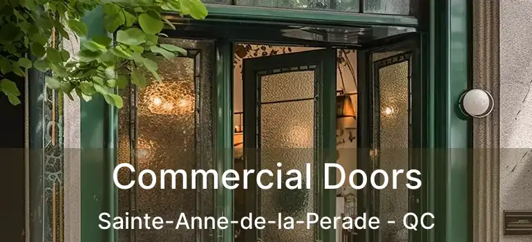  Commercial Doors Sainte-Anne-de-la-Perade - QC