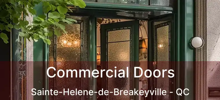  Commercial Doors Sainte-Helene-de-Breakeyville - QC