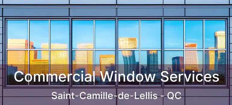  Commercial Window Services Saint-Camille-de-Lellis - QC
