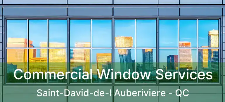  Commercial Window Services Saint-David-de-l Auberiviere - QC