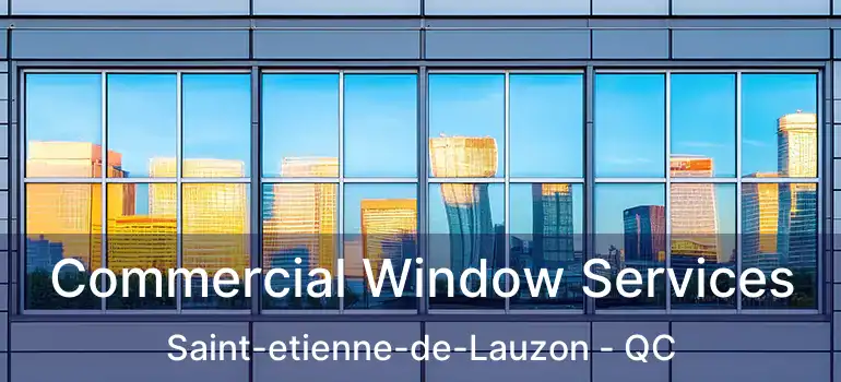  Commercial Window Services Saint-etienne-de-Lauzon - QC