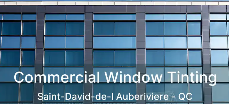 Commercial Window Tinting Saint-David-de-l Auberiviere - QC