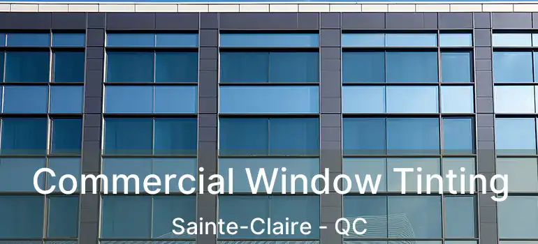  Commercial Window Tinting Sainte-Claire - QC
