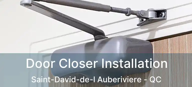  Door Closer Installation Saint-David-de-l Auberiviere - QC