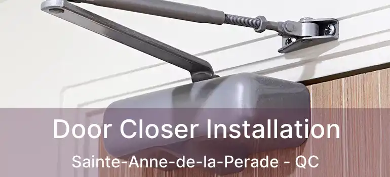  Door Closer Installation Sainte-Anne-de-la-Perade - QC