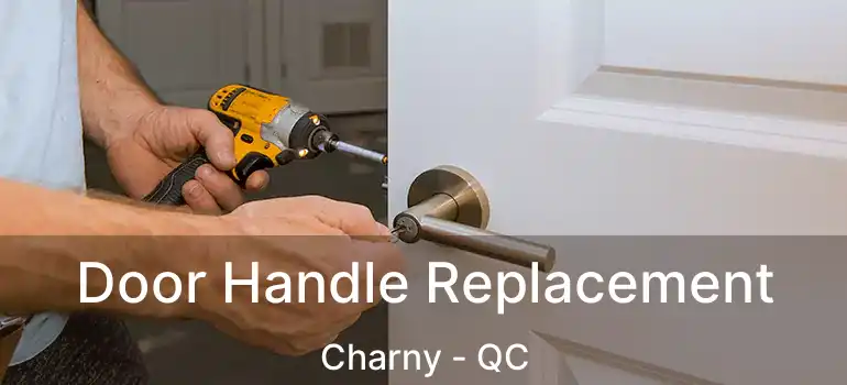  Door Handle Replacement Charny - QC