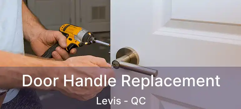  Door Handle Replacement Levis - QC