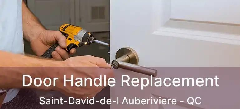  Door Handle Replacement Saint-David-de-l Auberiviere - QC