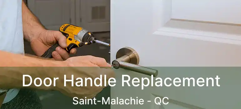  Door Handle Replacement Saint-Malachie - QC