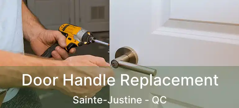  Door Handle Replacement Sainte-Justine - QC