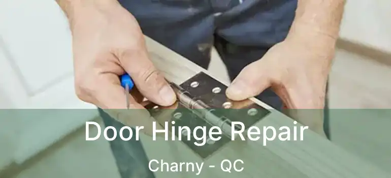  Door Hinge Repair Charny - QC